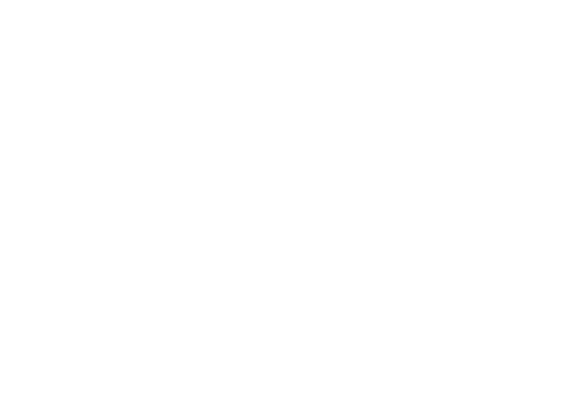 FIT